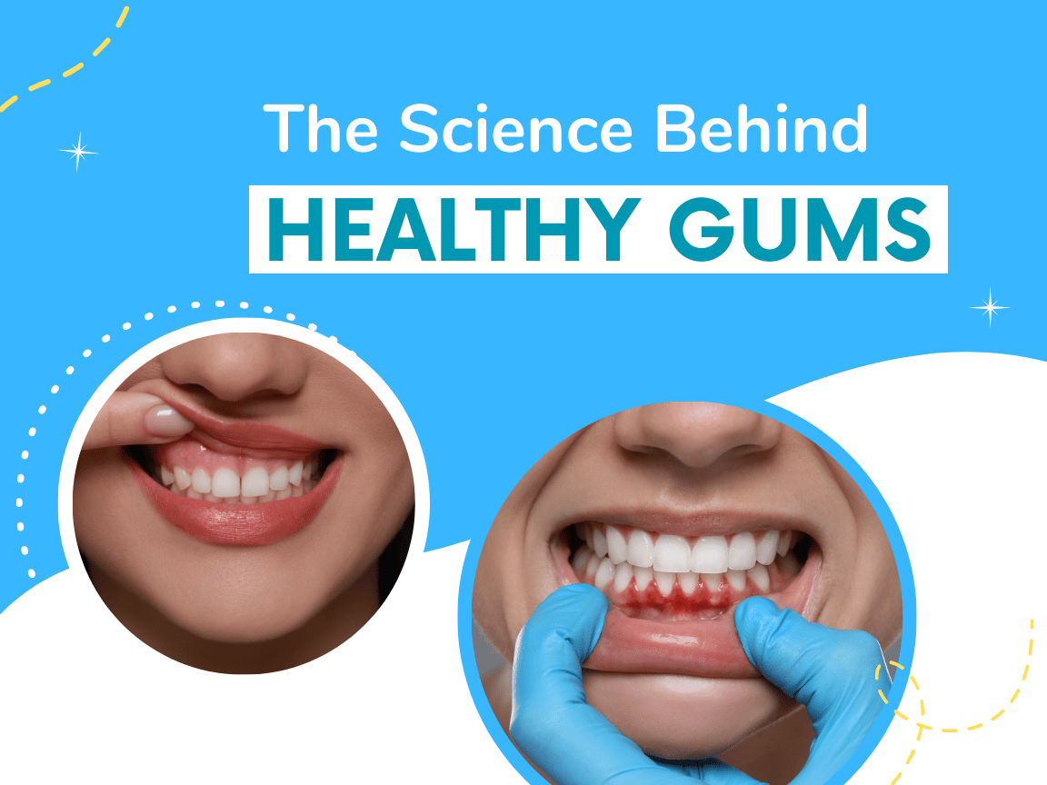 You are currently viewing The Science Behind Healthy Gums